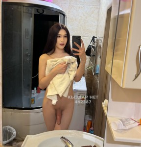 Транс Астаны Транс№462387 Регина Активная Фотография №3527010